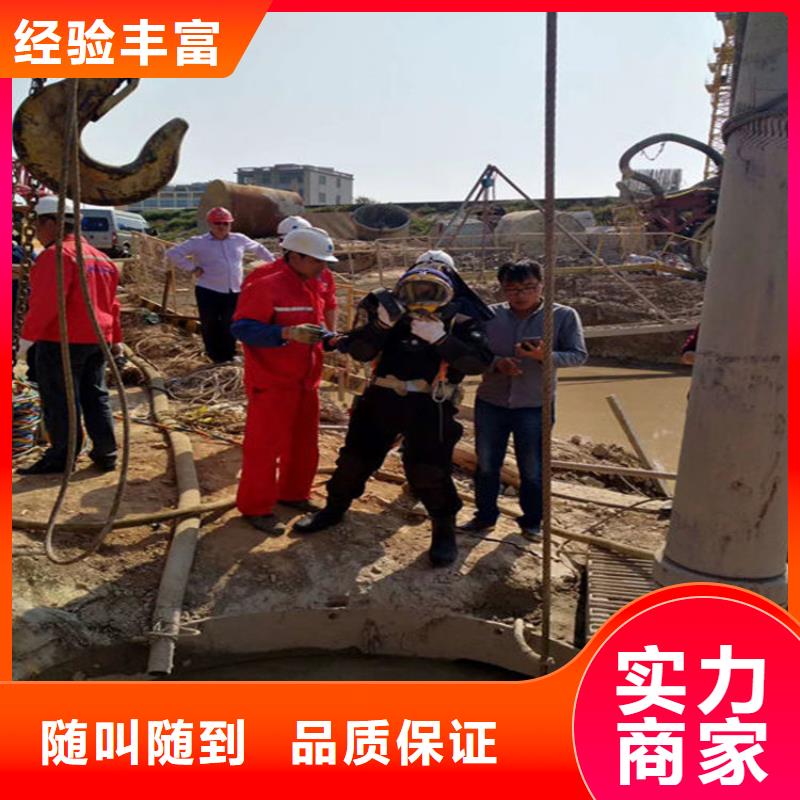 水下 潜水团队2025公司