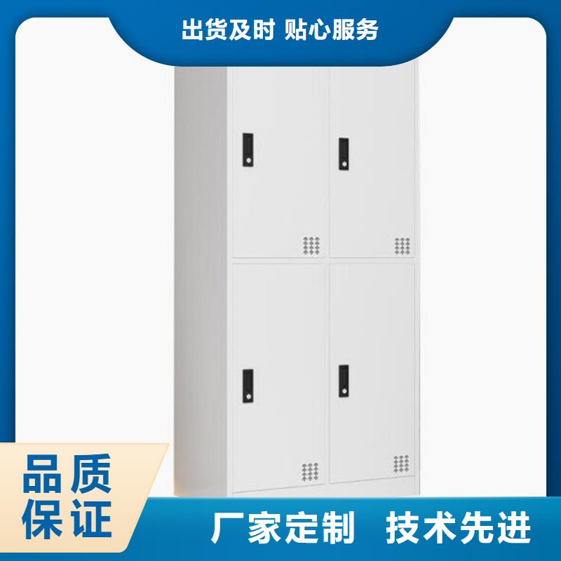 指纹储物柜钢制双面书架