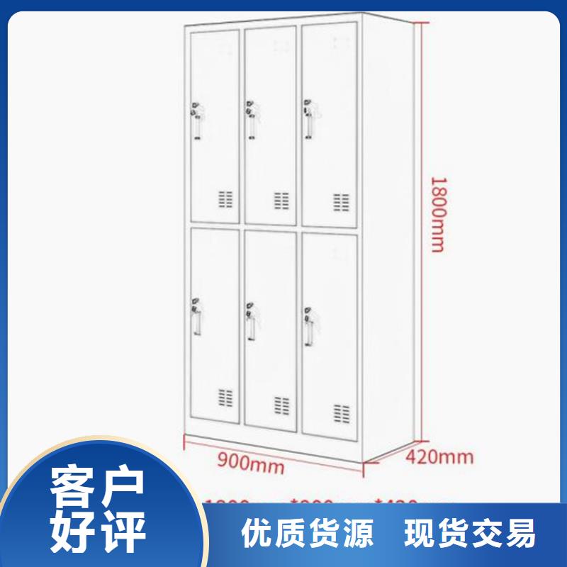 指纹储物柜钢制双面书架