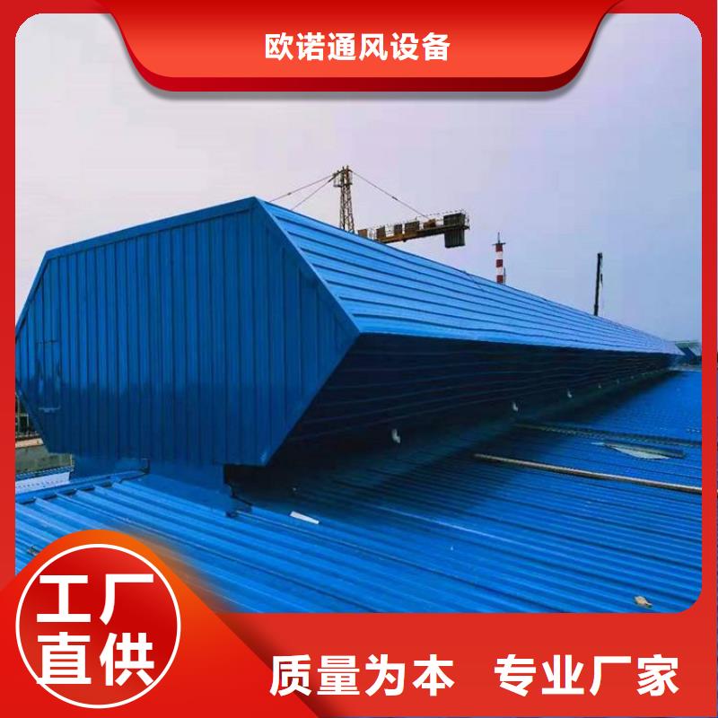 10型通风天窗（开敞式横向天窗）侧立面图