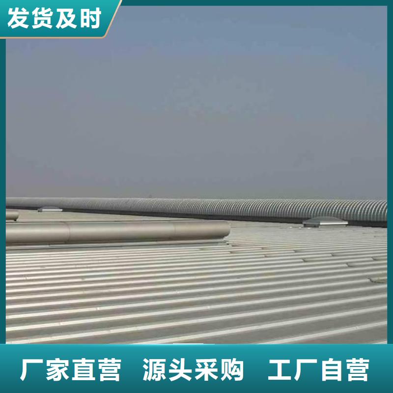 通风气楼薄型通风器自有厂家