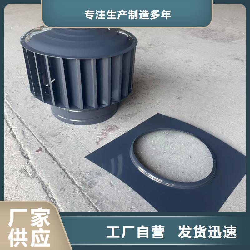 莲洲镇D系列排气道风帽品质优