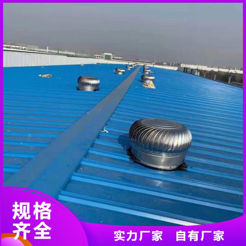 屋顶无动力风帽正规厂家