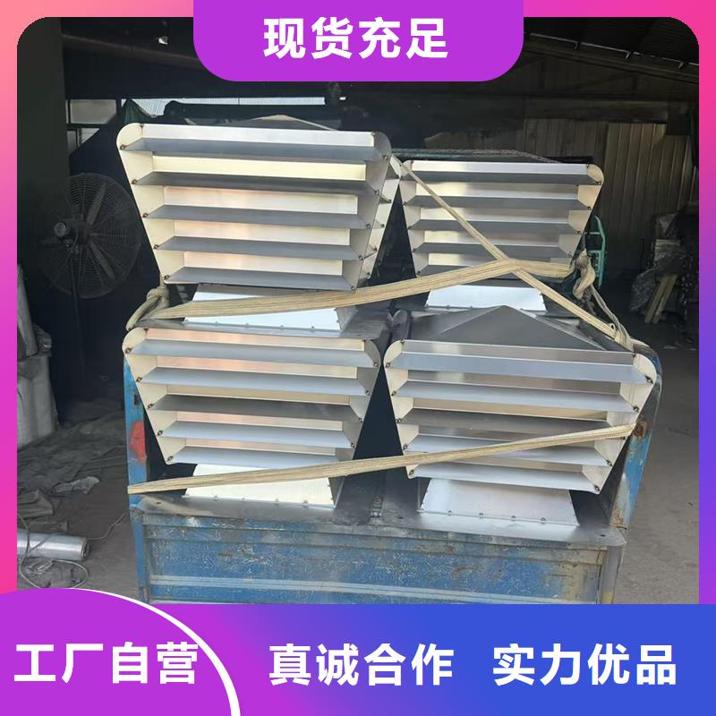 F系列离心式无动力风帽防雨防虫