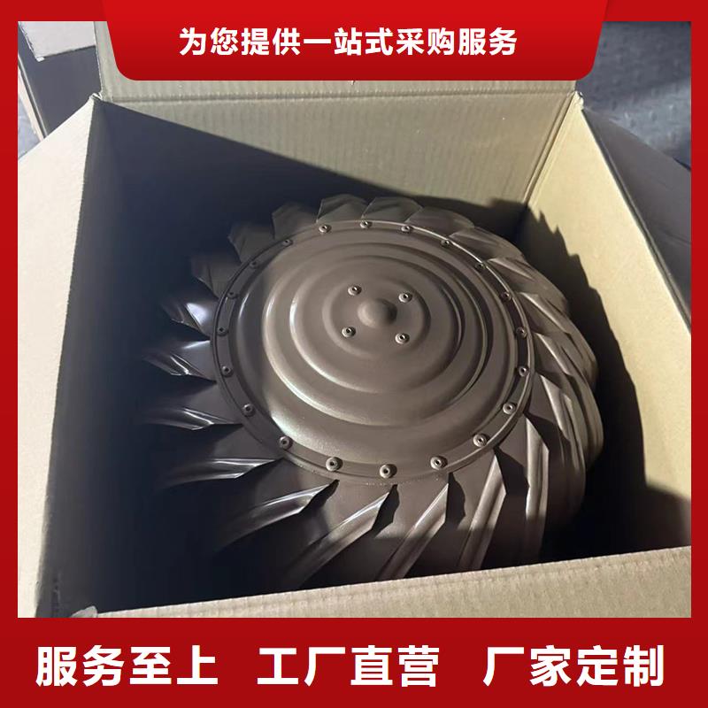 县防倒灌防风雨无动力风帽楼房排烟