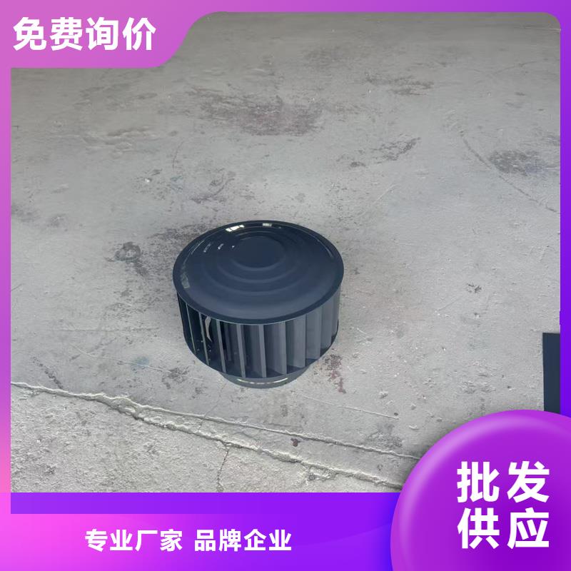 防倒灌楼顶透气帽防倒灌