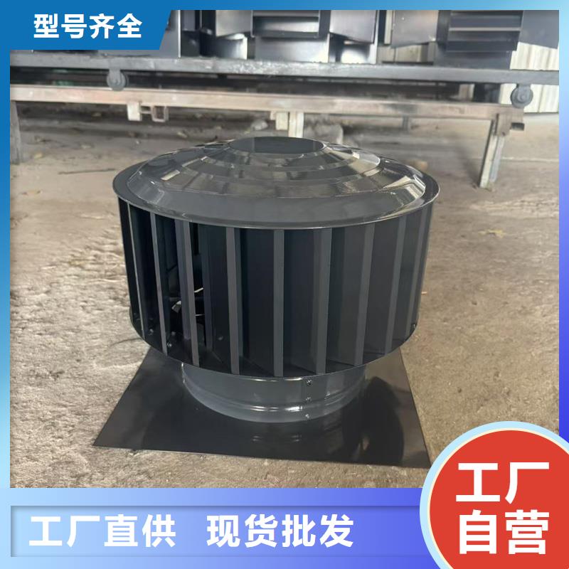 A系列A-FM-BPS300型风帽防风雪