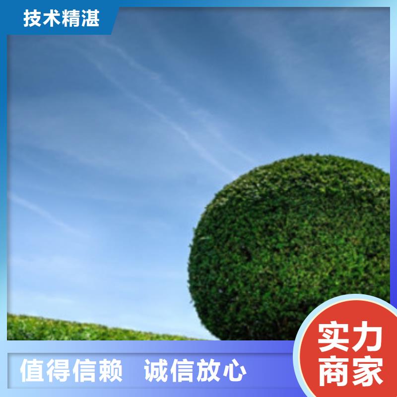 工程预算做工程预算效果满意为止
