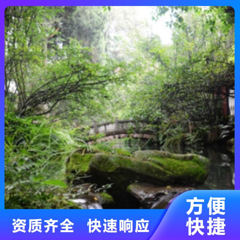 工程预算_预算代做2025专业的团队