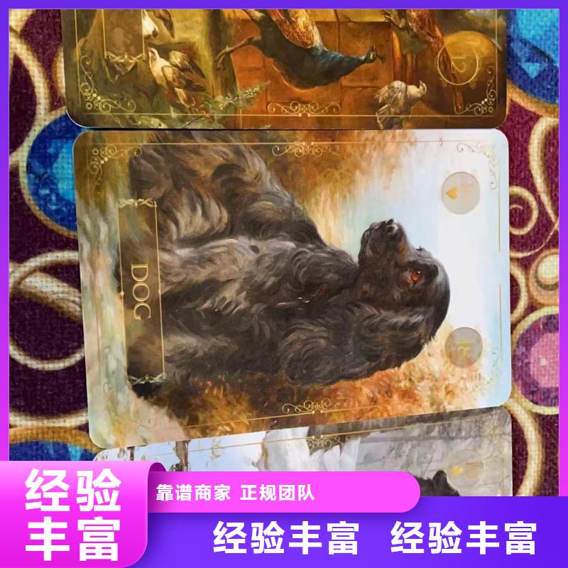 塔罗占卜专业可靠
