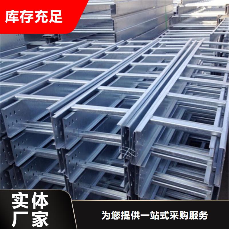 【镀锌桥架】-电缆桥架专业生产团队本地厂家