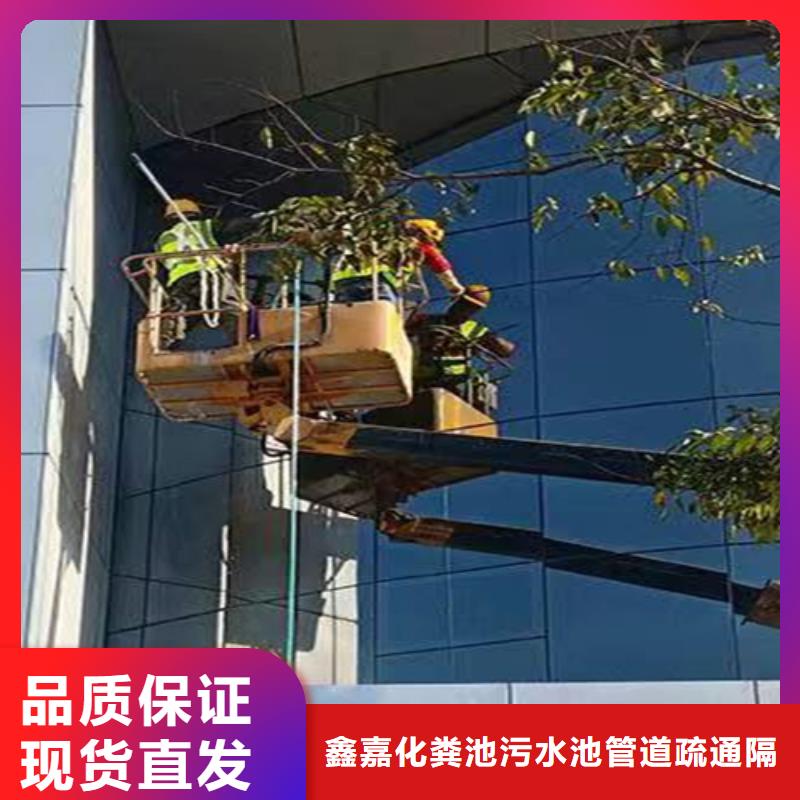 外墙清洗-害虫防治源头厂家直销