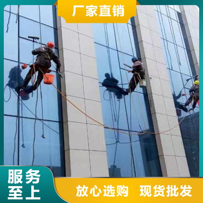 外墙清洗-害虫防治源头厂家直销