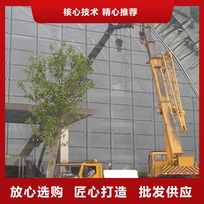 外墙清洗-害虫防治源头厂家直销
