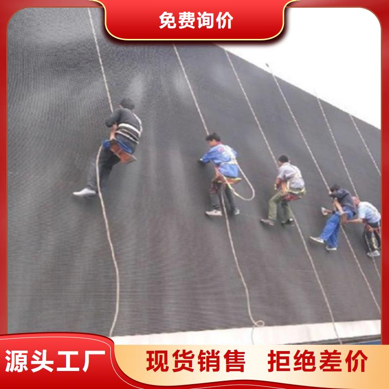 外墙清洗-害虫防治源头厂家直销