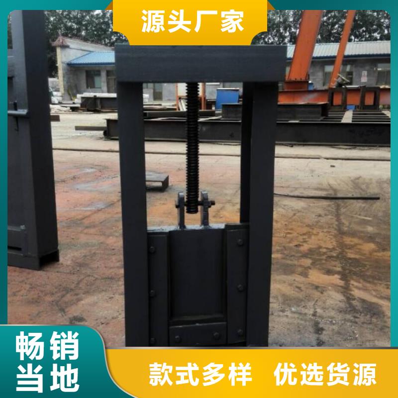  截流井闸门实力见证