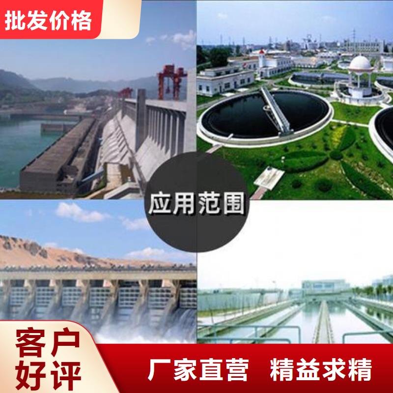  截流井闸门专业品质