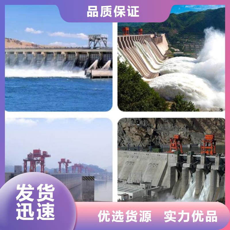  截流井闸门专业品质