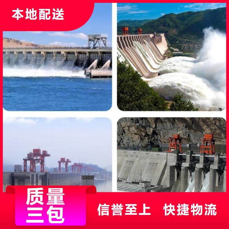  截流井闸门厂家案例