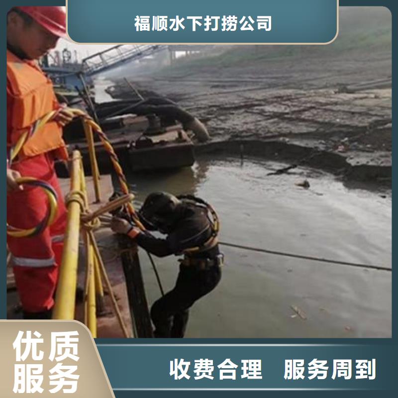 重庆市大渡口区水下打捞貔貅服务为先