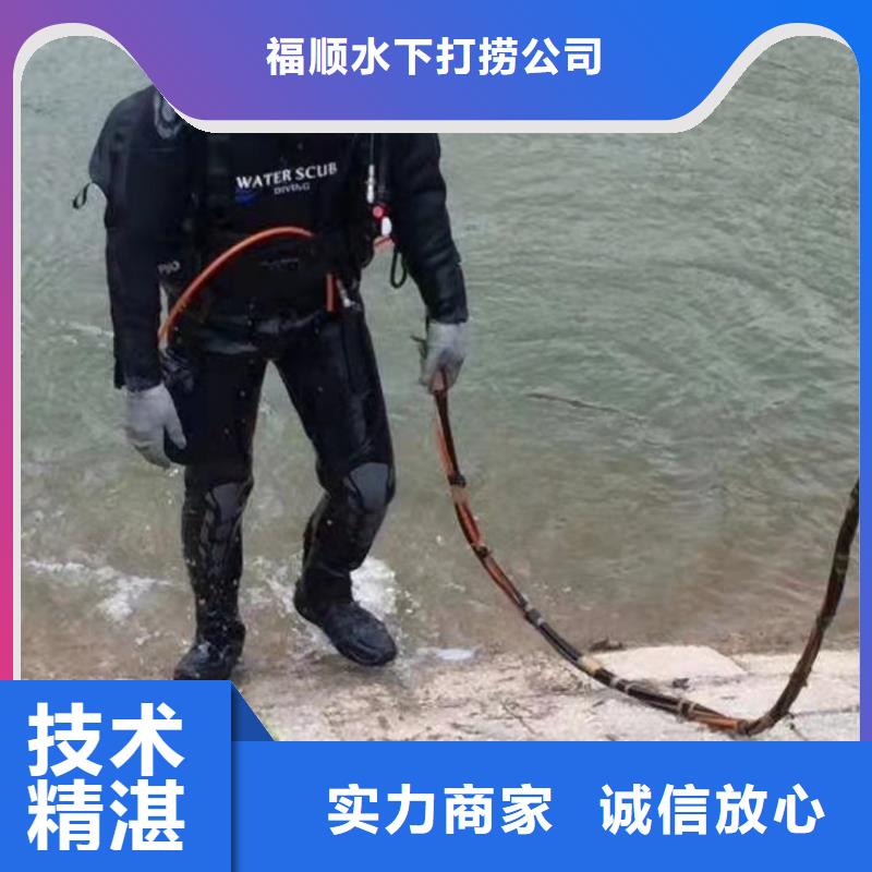 重庆市大渡口区水下打捞貔貅服务为先