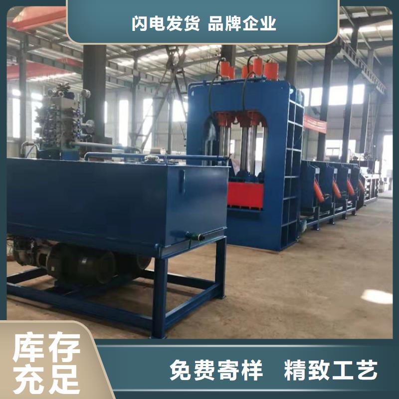龙门剪废纸撕裂机检验发货