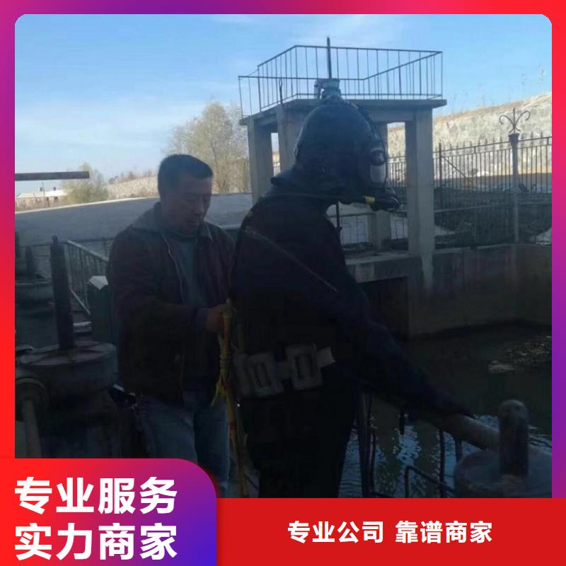 蛙人服务公司品牌-报价_苏龙水下工程有限公司