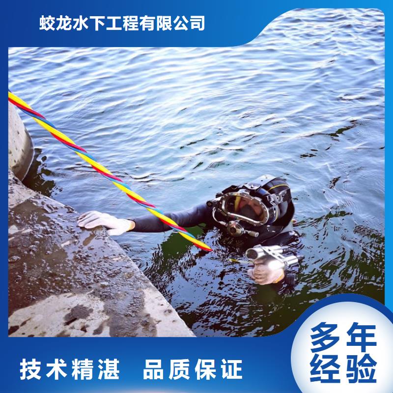 蛙人打捞队-蛙人打捞队供货商