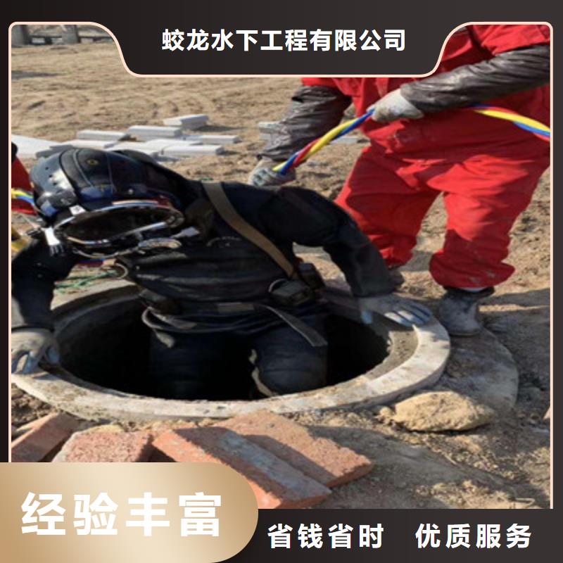 蛙人打捞队-蛙人打捞队供货商