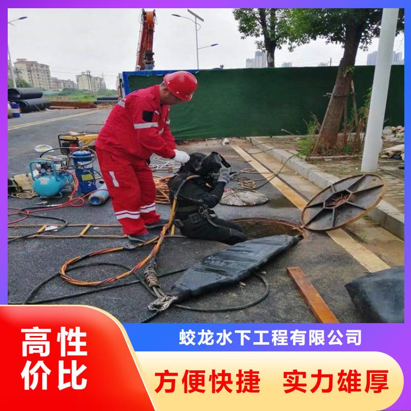 蛙人服务公司信息