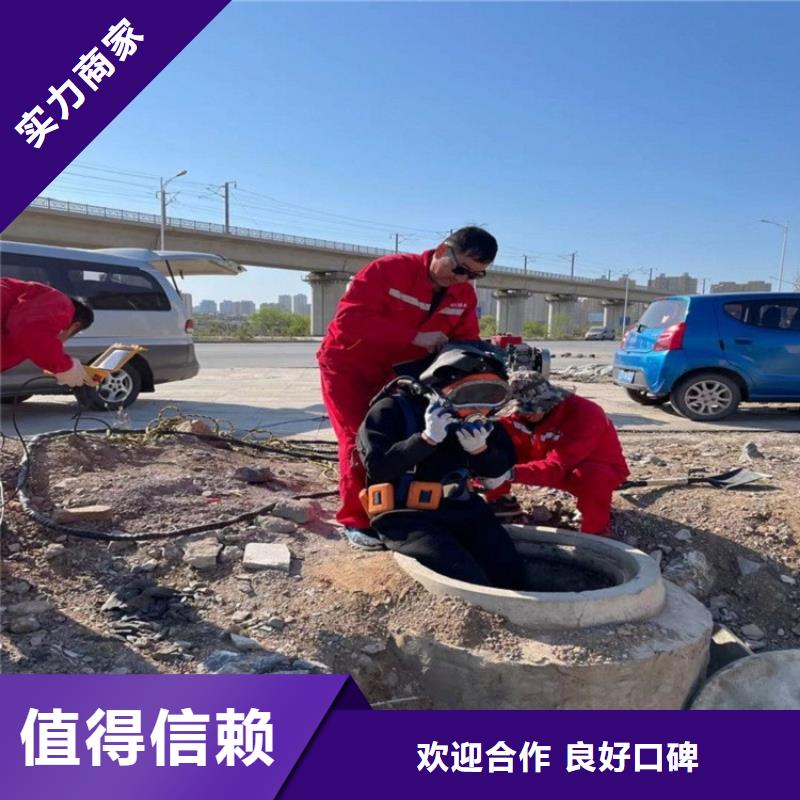 电厂闸门水下维修检查公司附近有吗