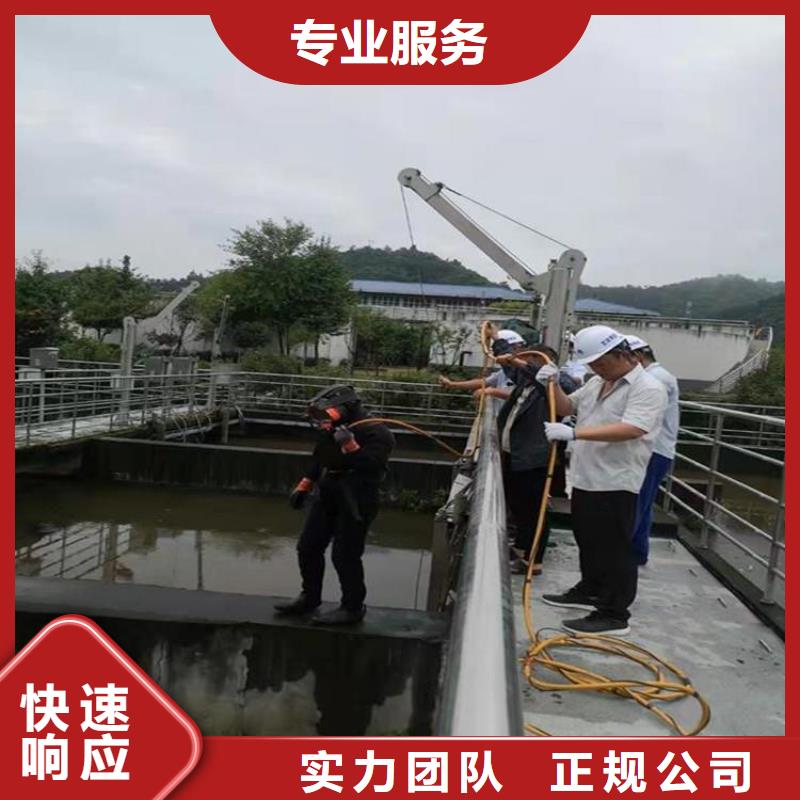 蛙人服务公司品牌-报价_苏龙水下工程有限公司