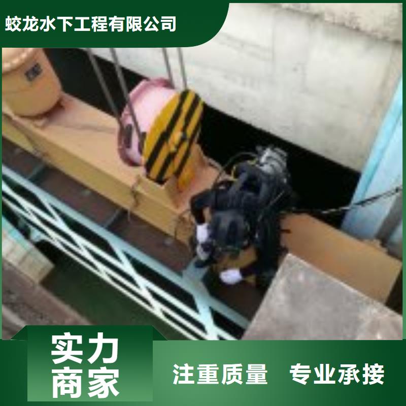 【潜水服务公司潜水搜索快速】