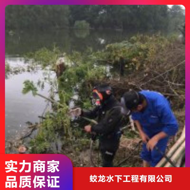 蛙人作业队伍市场批发价