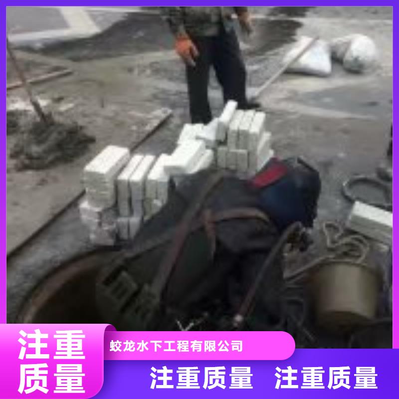 【桥桩码头桩拆除公司】_价格_厂家