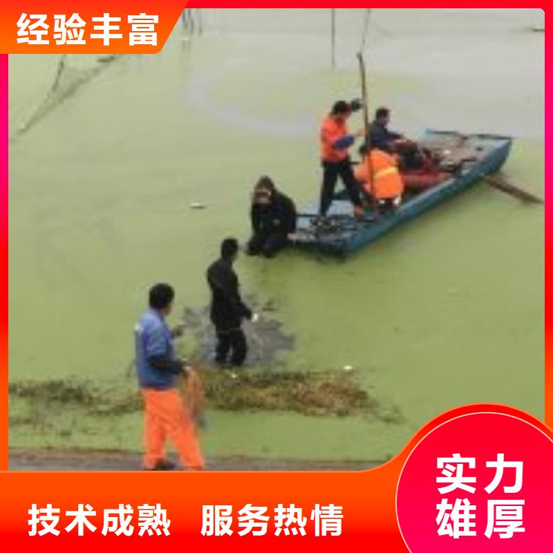 厌氧池水鬼打捞水泵、厌氧池水鬼打捞水泵厂家直销-本地企业