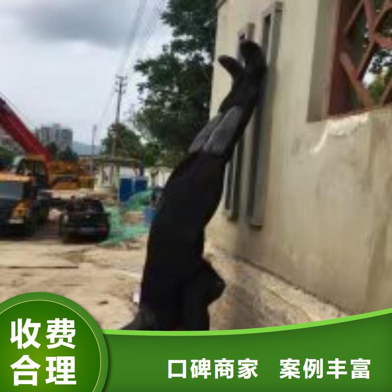 潜水服务公司【本地潜水救援】实力商家