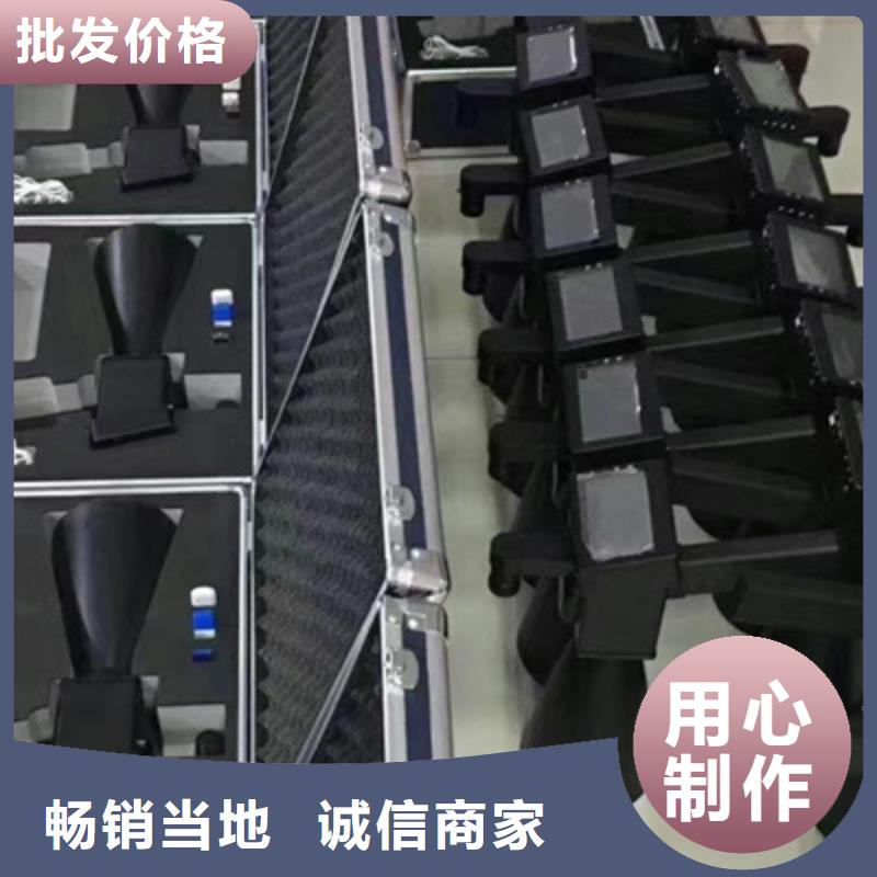 数字式绝缘子探伤仪