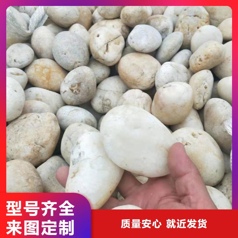【 氨氮去除剂净水剂厂家送货上门】同城品牌