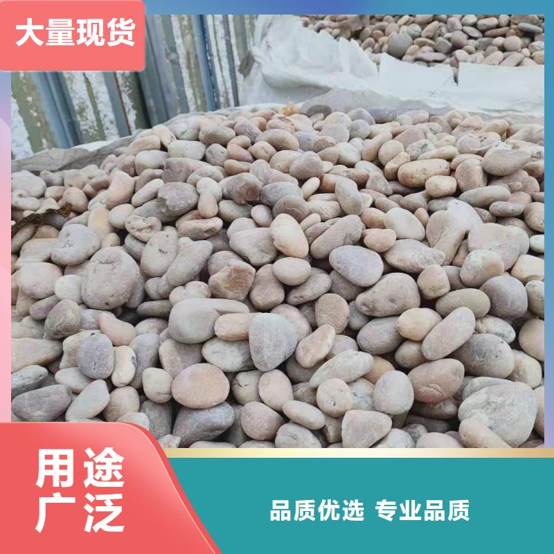 氨氮去除剂公司