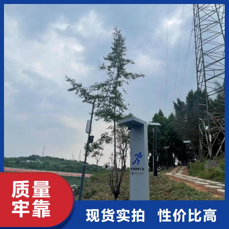 智慧 AI环球骑行厂家直销直供