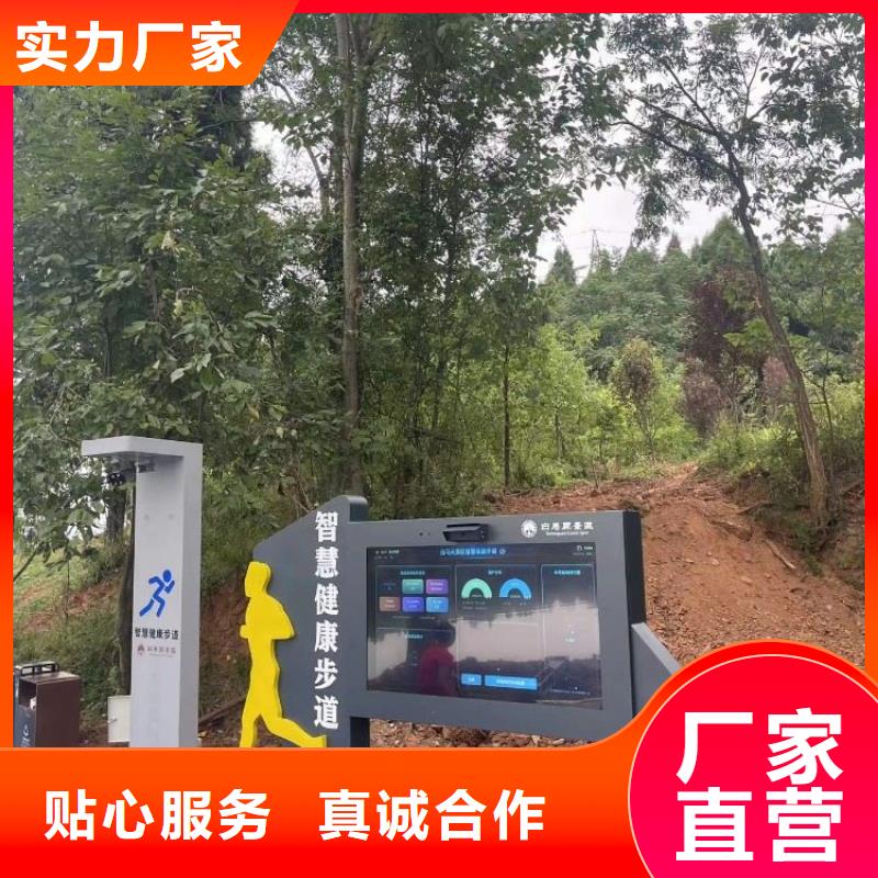 智慧AI虚拟马拉松跑道优质货源