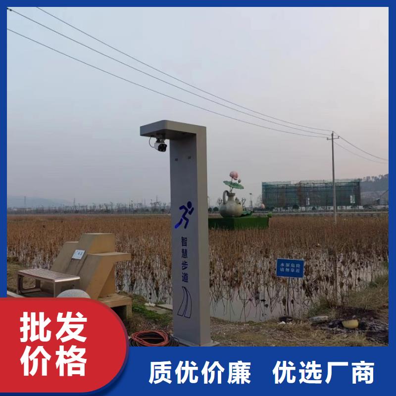 智慧【AI虚拟马拉松跑道】国标检测放心购买