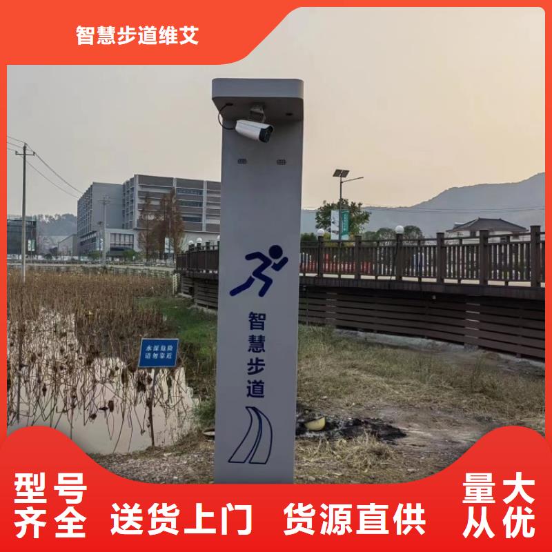 【智慧ai虚拟骑行单车专业完善售后】