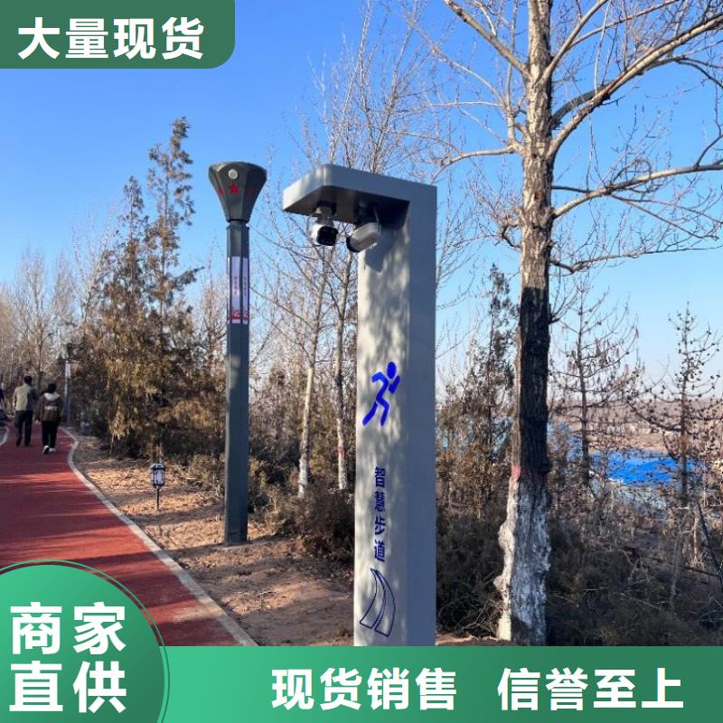 智慧【智慧步道】大厂家实力看得见