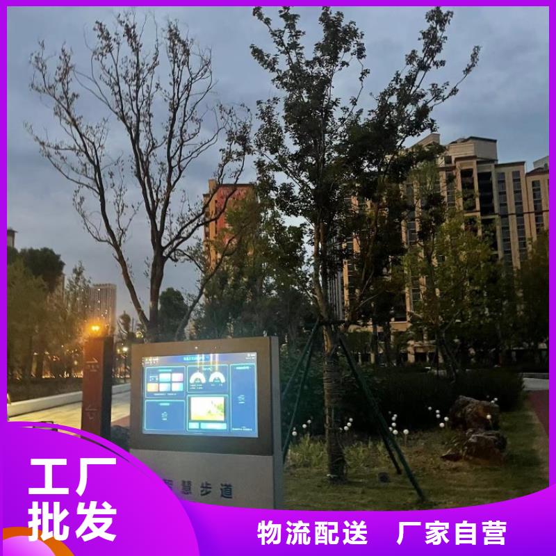 智慧ai智慧步道多年行业积累