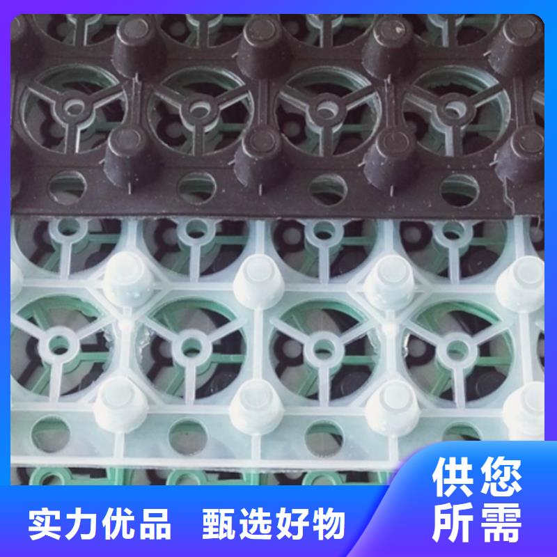 虹吸排水板直供厂家