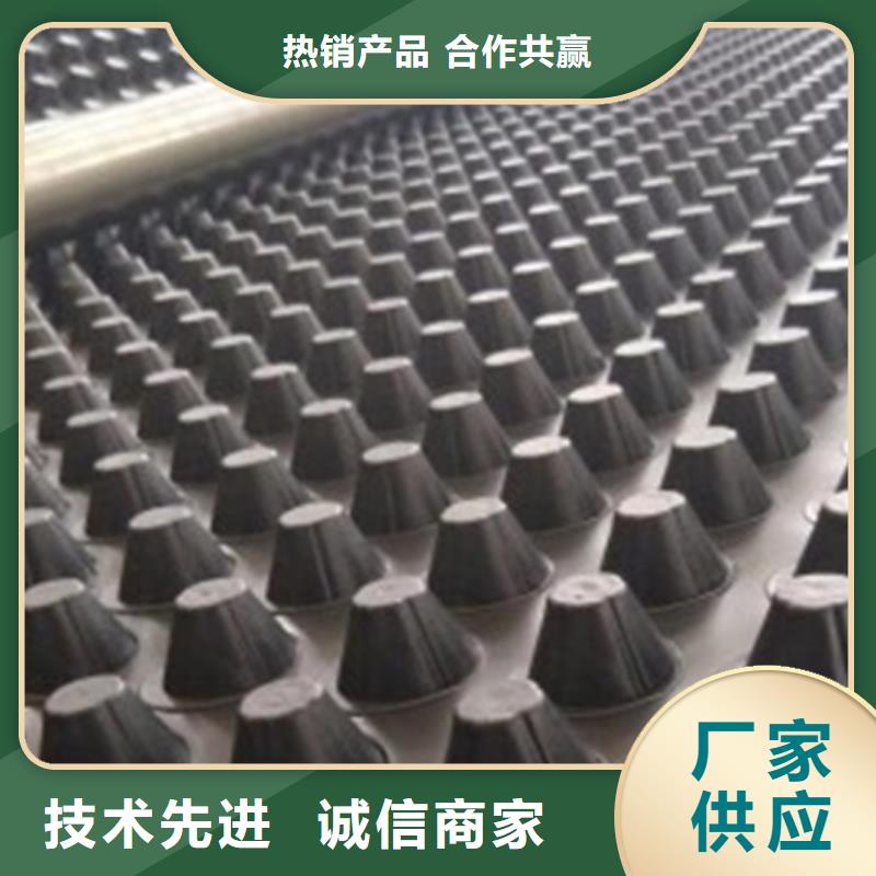 排水板化粪池水泥好产品放心购