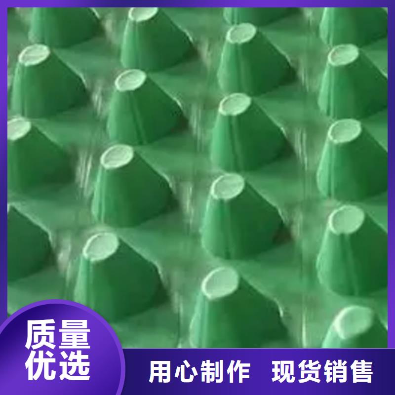 排水板植草格专业生产N年