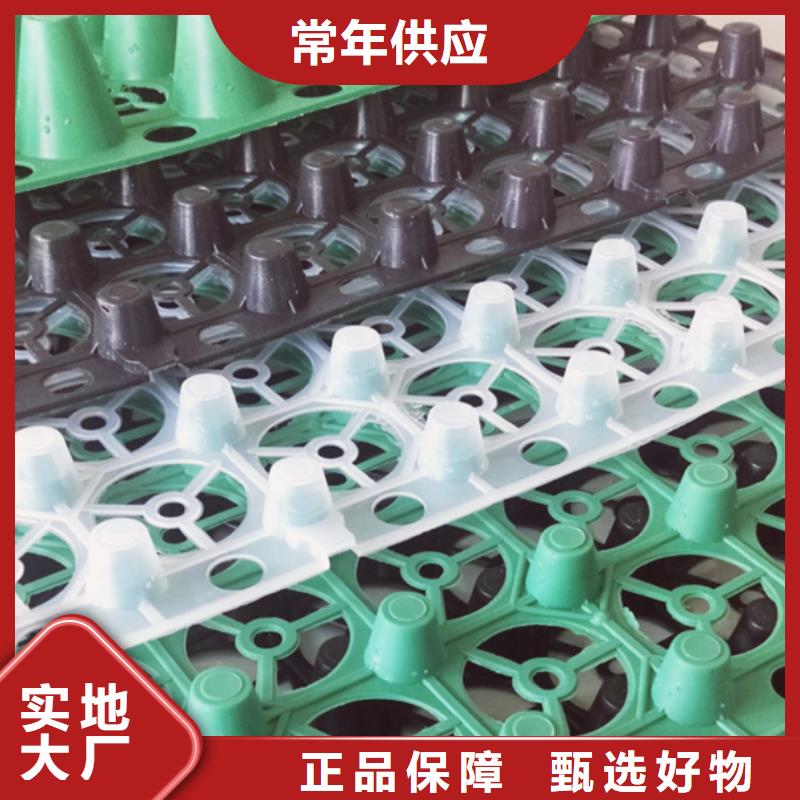 排水板防护虹吸排水收集系统自产自销